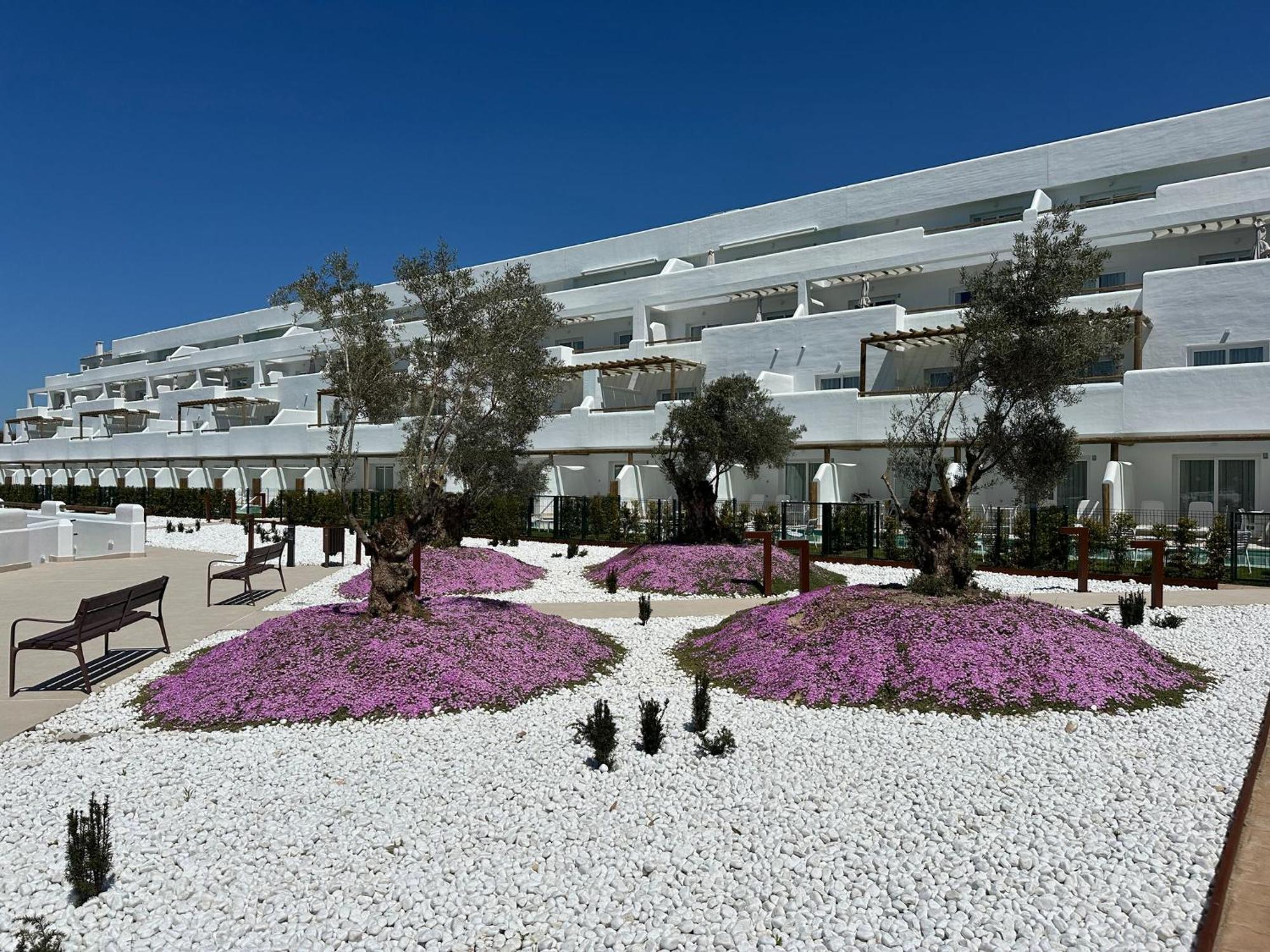 Punta Candor Suites روتا المظهر الخارجي الصورة