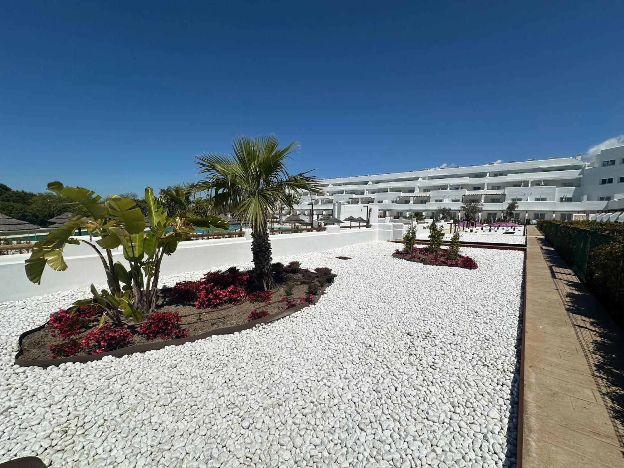 Punta Candor Suites روتا المظهر الخارجي الصورة