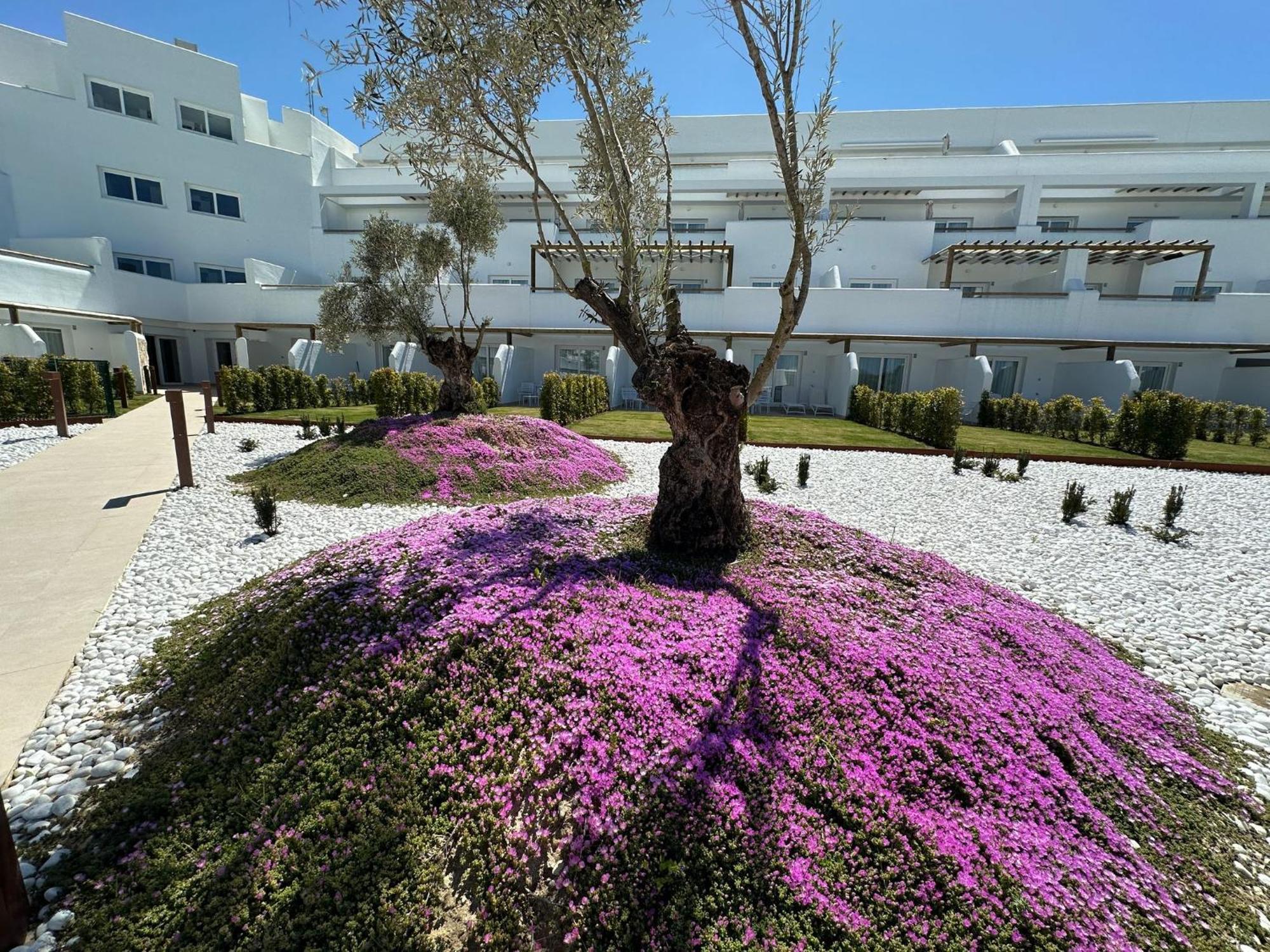 Punta Candor Suites روتا المظهر الخارجي الصورة